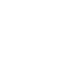 Cão Bravo