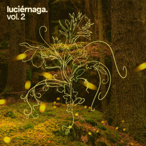 luciérnaga.
