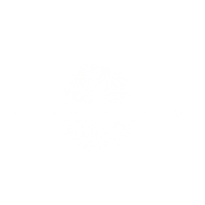 Bosque de Luces y Sombras