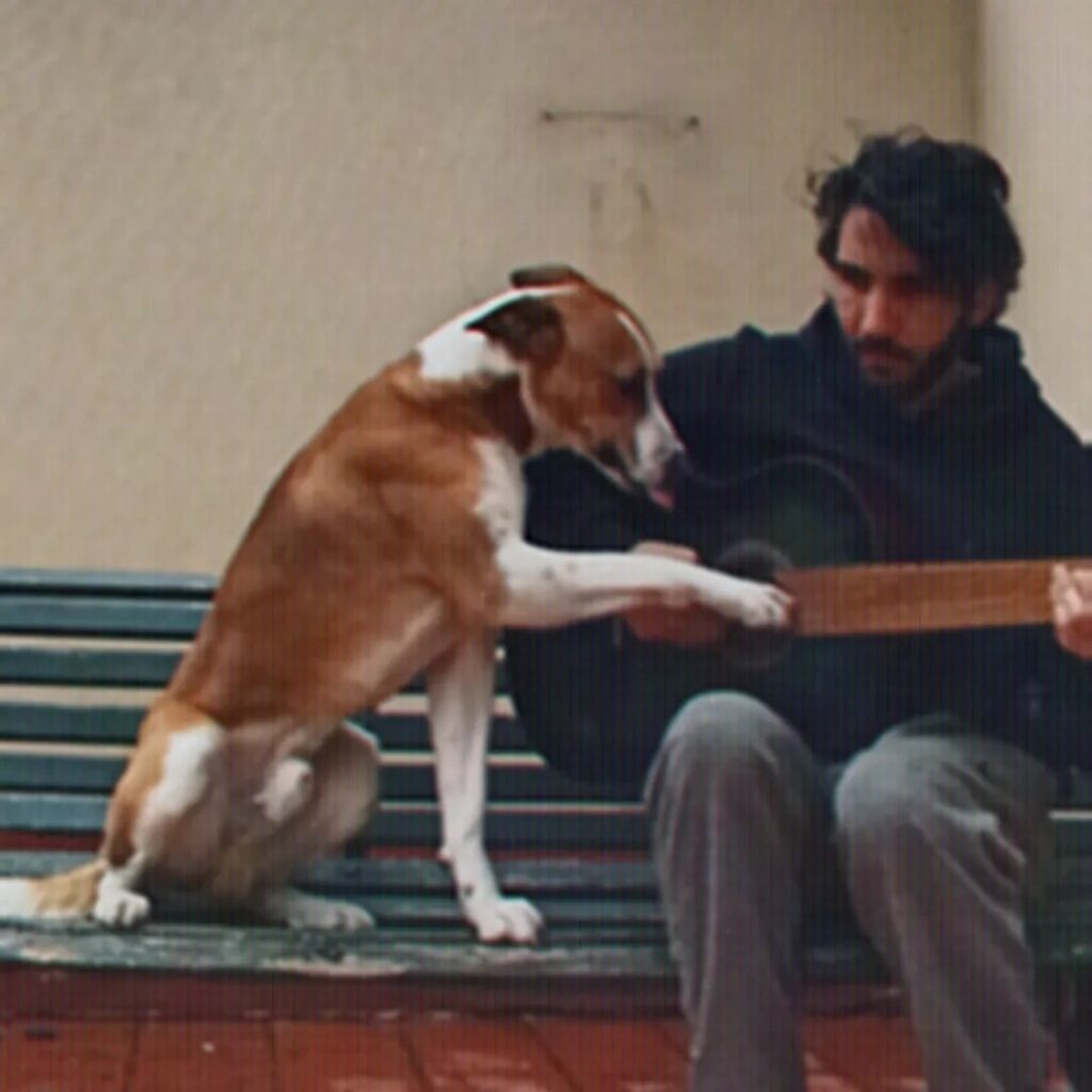 Julio Guillón